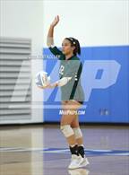 Photo from the gallery "West Bloomfield @ Rochester"
