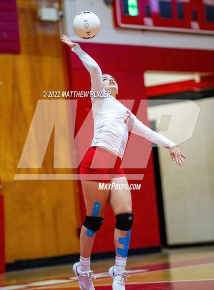 Thumbnail 3 in Jack Britt @ Seventy-First photogallery.