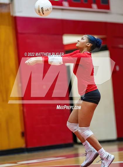 Thumbnail 1 in Jack Britt @ Seventy-First photogallery.
