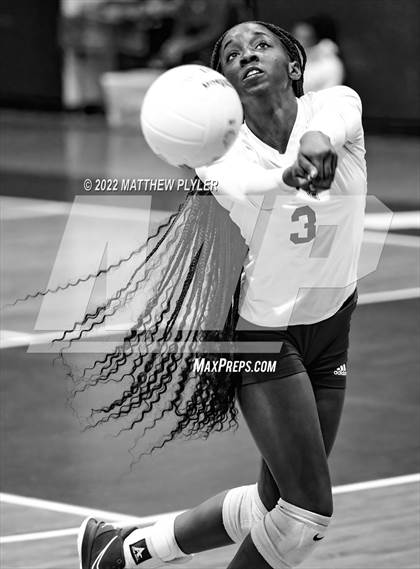 Thumbnail 3 in Jack Britt @ Seventy-First photogallery.