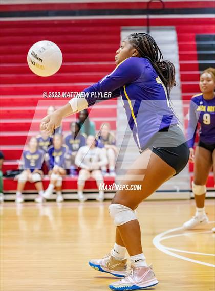 Thumbnail 1 in Jack Britt @ Seventy-First photogallery.