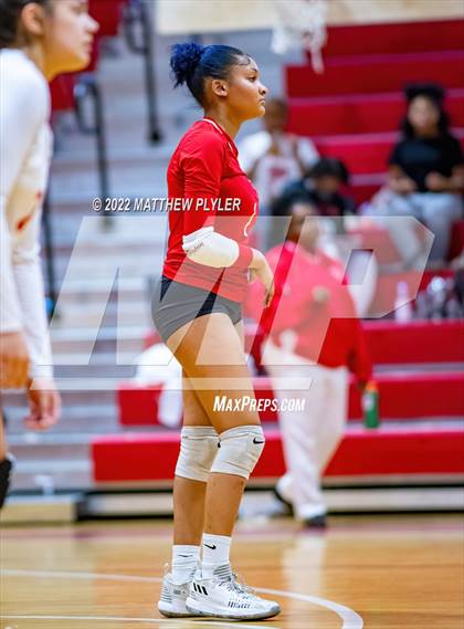 Thumbnail 3 in Jack Britt @ Seventy-First photogallery.