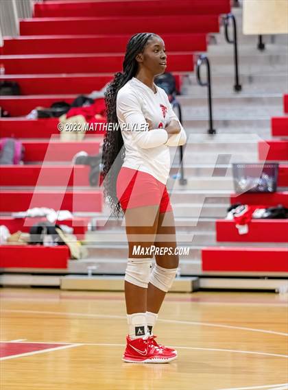 Thumbnail 1 in Jack Britt @ Seventy-First photogallery.