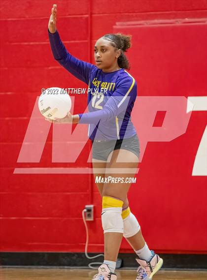 Thumbnail 3 in Jack Britt @ Seventy-First photogallery.