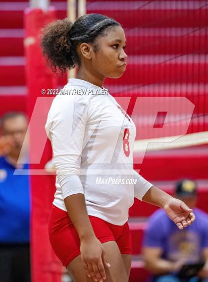 Thumbnail 3 in Jack Britt @ Seventy-First photogallery.