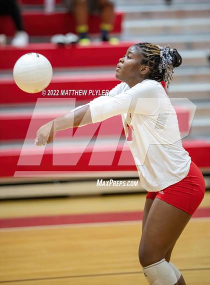 Thumbnail 3 in Jack Britt @ Seventy-First photogallery.