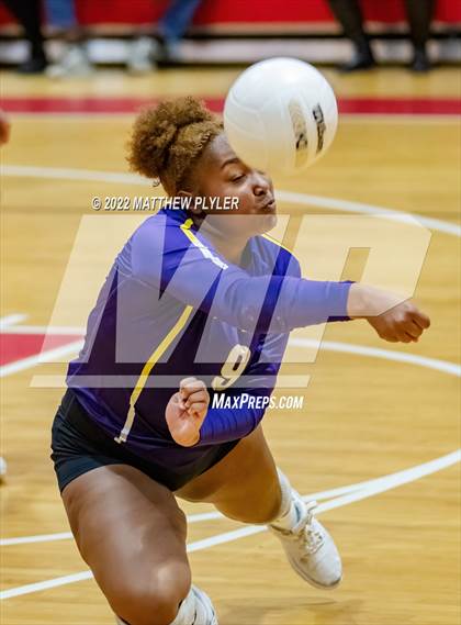 Thumbnail 3 in Jack Britt @ Seventy-First photogallery.