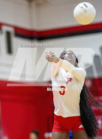 Thumbnail 2 in Jack Britt @ Seventy-First photogallery.