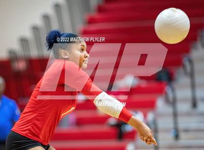 Thumbnail 1 in Jack Britt @ Seventy-First photogallery.