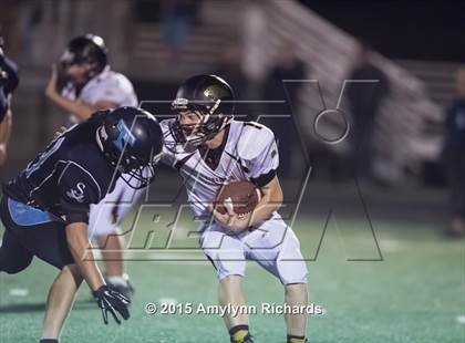 Thumbnail 1 in Lakewood @ Sultan photogallery.