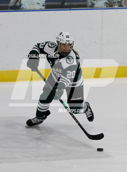 Thumbnail 1 in Roseau @ Bemidji photogallery.