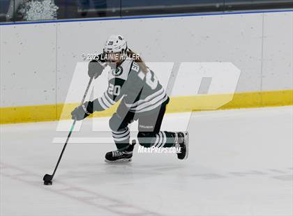 Thumbnail 3 in Roseau @ Bemidji photogallery.