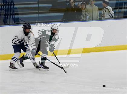 Thumbnail 1 in Roseau @ Bemidji photogallery.