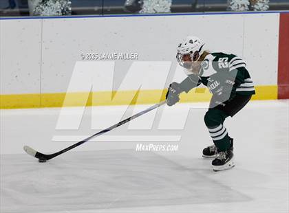 Thumbnail 2 in Roseau @ Bemidji photogallery.