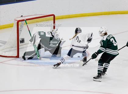 Thumbnail 2 in Roseau @ Bemidji photogallery.