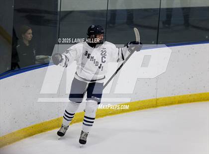 Thumbnail 2 in Roseau @ Bemidji photogallery.