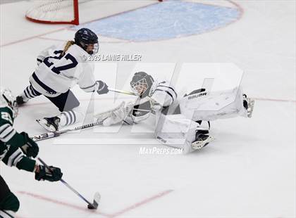 Thumbnail 2 in Roseau @ Bemidji photogallery.