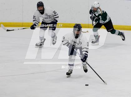 Thumbnail 1 in Roseau @ Bemidji photogallery.