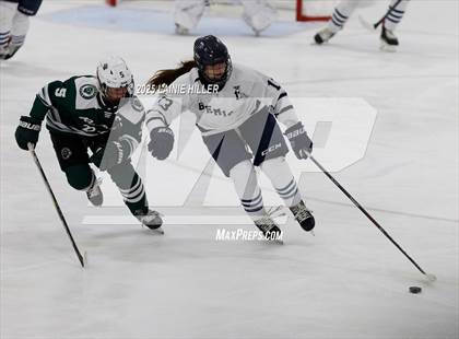 Thumbnail 3 in Roseau @ Bemidji photogallery.