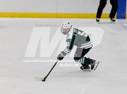 Thumbnail 3 in Roseau @ Bemidji photogallery.