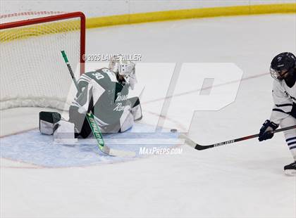 Thumbnail 1 in Roseau @ Bemidji photogallery.