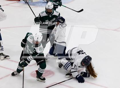 Thumbnail 1 in Roseau @ Bemidji photogallery.