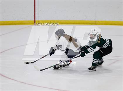 Thumbnail 1 in Roseau @ Bemidji photogallery.