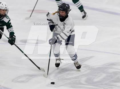 Thumbnail 1 in Roseau @ Bemidji photogallery.