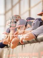 Photo from the gallery "Sahuaro @ Walden Grove"