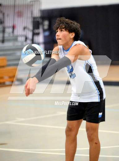 null - Photo 41