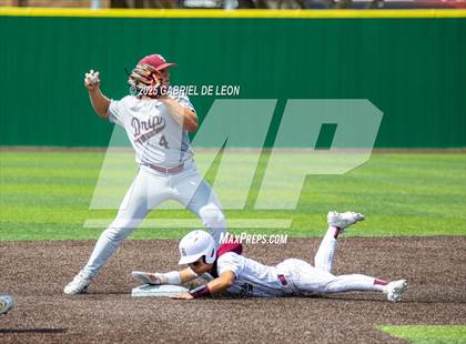 Thumbnail 2 in Dripping Springs vs. Pharr-San Juan-Alamo (UIL Region IV 6A Baseball Regional Final) photogallery.