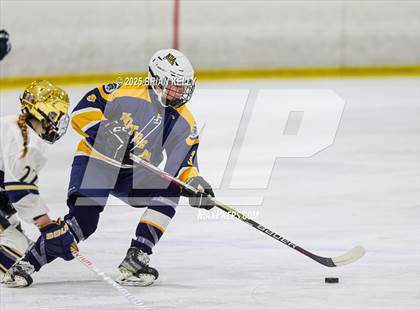 Thumbnail 2 in Notre Dame Academy @ Archbishop Williams (Hockey for Heroes) photogallery.