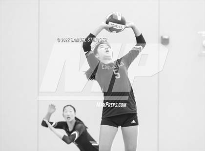 Thumbnail 1 in Castilleja vs. Sacred Heart Cathedral Preparatory (Spikefest 1) photogallery.