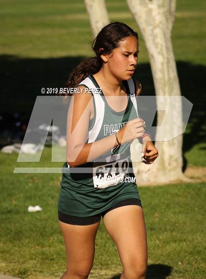 Thumbnail 1 in Golden League Meet #1 photogallery.