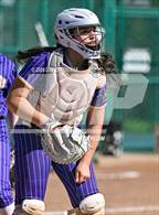 Photo from the gallery "Sonora vs. Bret Harte (Dandelion Days)"