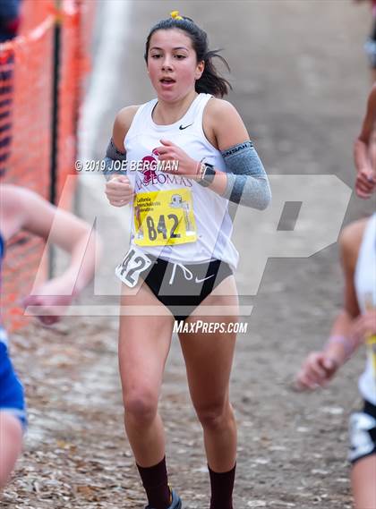 Thumbnail 1 in CIF State Cross Country Championships (Girls D3 Race) photogallery.