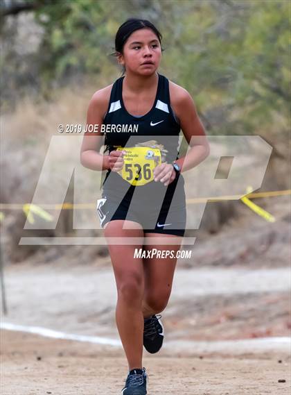 Thumbnail 1 in CIF State Cross Country Championships (Girls D3 Race) photogallery.