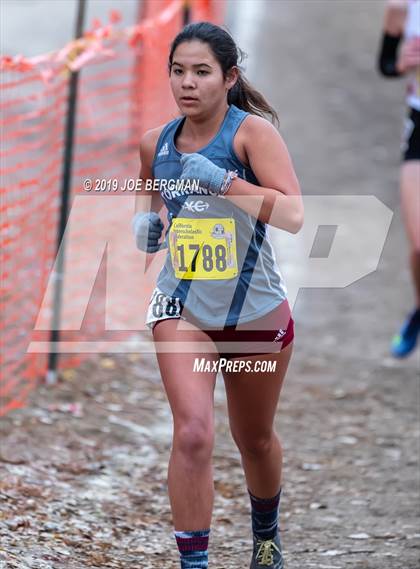 Thumbnail 2 in CIF State Cross Country Championships (Girls D3 Race) photogallery.