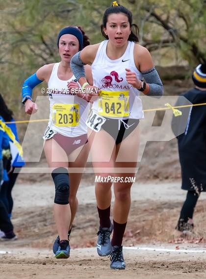 Thumbnail 3 in CIF State Cross Country Championships (Girls D3 Race) photogallery.