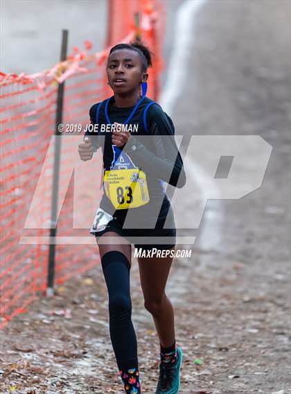 Thumbnail 2 in CIF State Cross Country Championships (Girls D3 Race) photogallery.