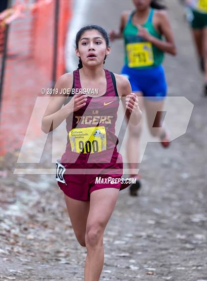 Thumbnail 1 in CIF State Cross Country Championships (Girls D3 Race) photogallery.