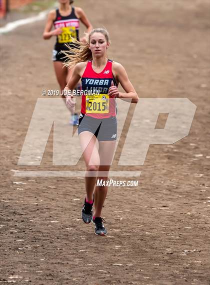 Thumbnail 2 in CIF State Cross Country Championships (Girls D3 Race) photogallery.