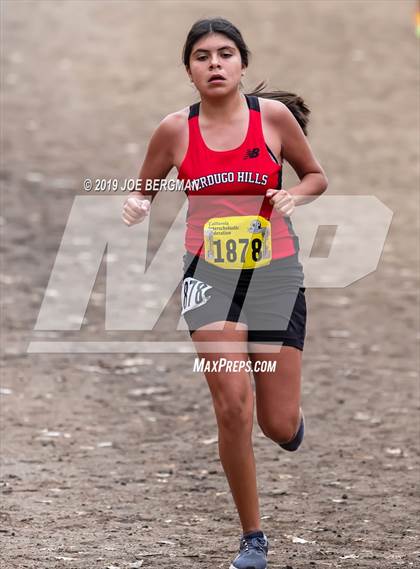 Thumbnail 2 in CIF State Cross Country Championships (Girls D3 Race) photogallery.
