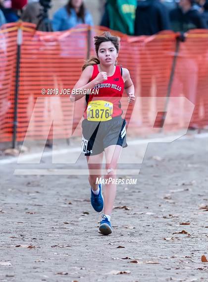 Thumbnail 3 in CIF State Cross Country Championships (Girls D3 Race) photogallery.