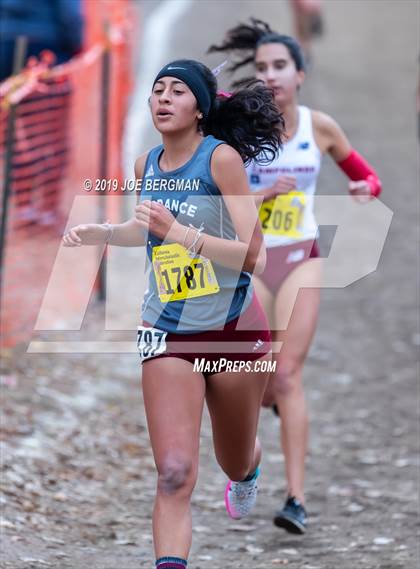 Thumbnail 1 in CIF State Cross Country Championships (Girls D3 Race) photogallery.