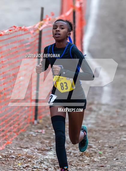 Thumbnail 3 in CIF State Cross Country Championships (Girls D3 Race) photogallery.