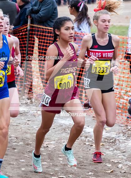 Thumbnail 1 in CIF State Cross Country Championships (Girls D3 Race) photogallery.