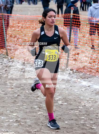 Thumbnail 3 in CIF State Cross Country Championships (Girls D3 Race) photogallery.