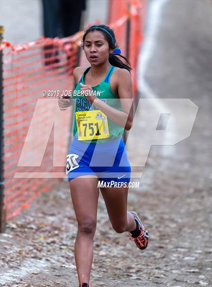 Thumbnail 3 in CIF State Cross Country Championships (Girls D3 Race) photogallery.