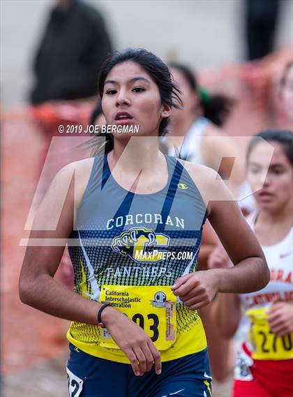 Thumbnail 2 in CIF State Cross Country Championships (Girls D3 Race) photogallery.